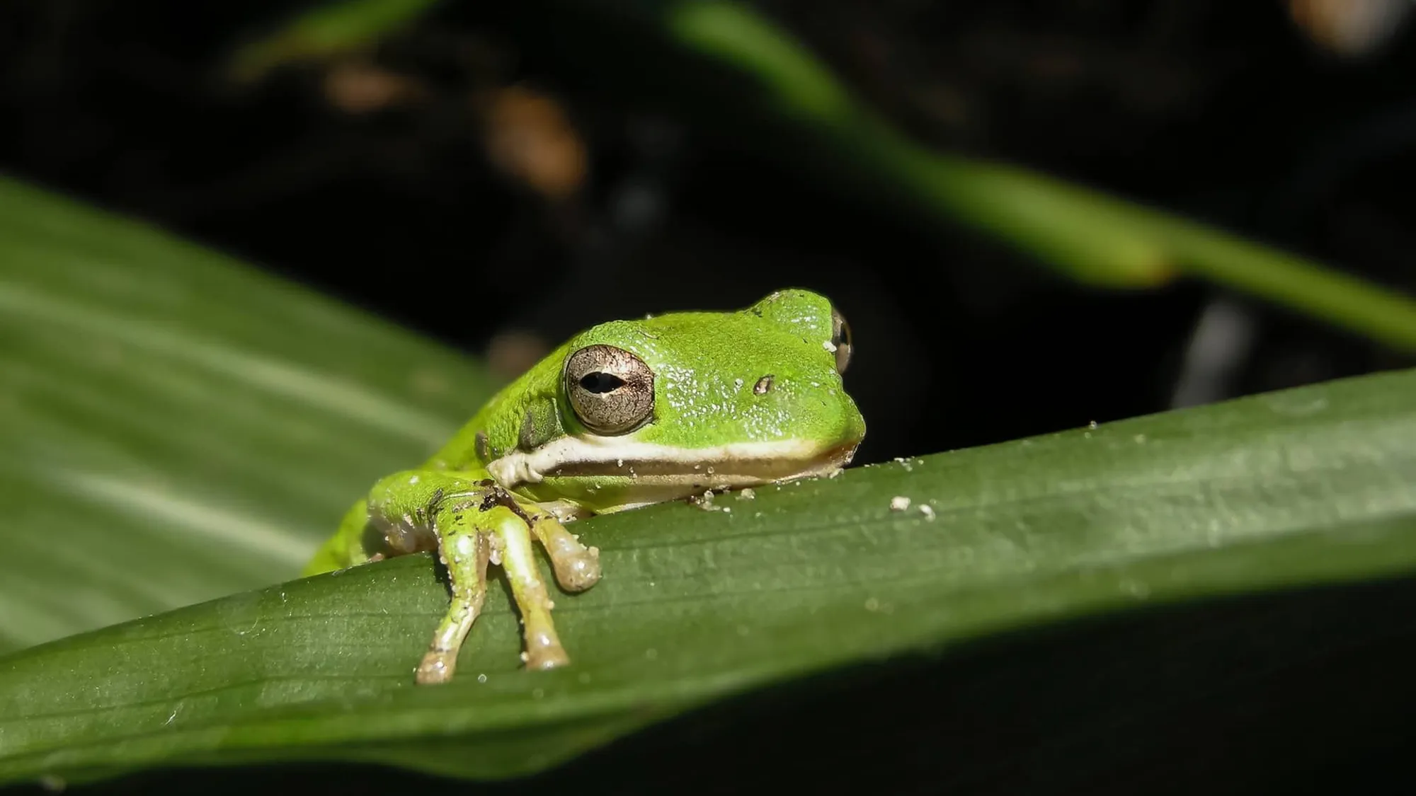 Fb50e128610727b1e9c127d5fb3613f05a1351d5